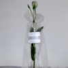 Hochzeitsschleife Florales Design in flieder